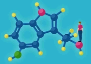 Hormonal Therapies