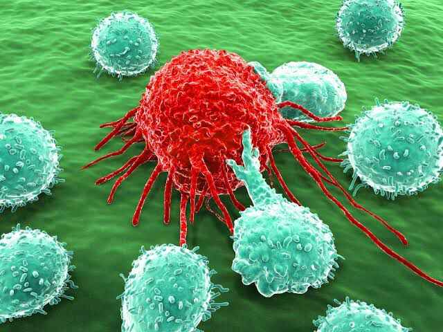 Immunotherapy