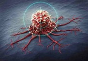 Targeted Therapies