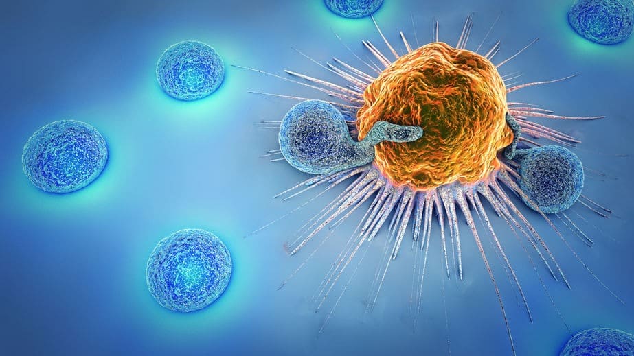 Immunotherapy vs Chemotherapy: What’s the Difference?
